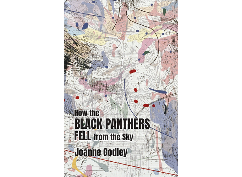 cover of How the Black Panthers Fell from the Sky